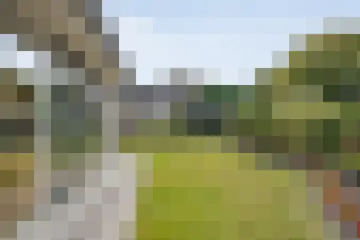 Zwaluwstraat 32 Hardenberg thumbnail 57
