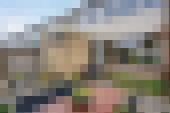 Zwaluwstraat 32 Norg thumbnail 24