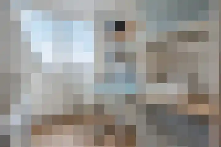 Zwaluwstraat 32 Norg thumbnail 33