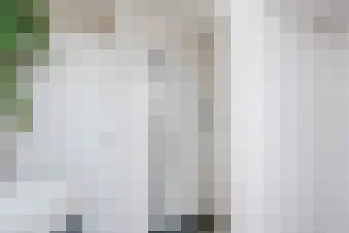 Zwaluwstraat 32 Norg thumbnail 34