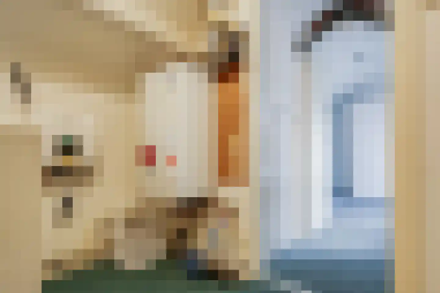 Zwaluwstraat 32 Norg thumbnail 38