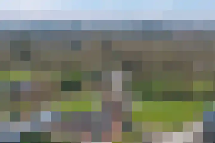 Zwaluwstraat 32 Norg thumbnail 44