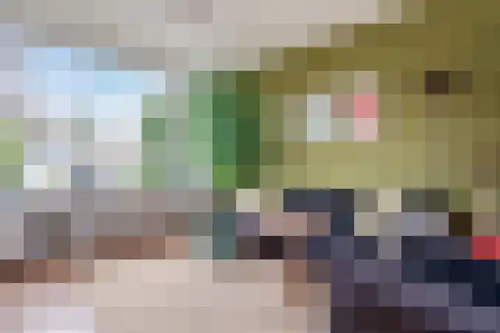 Zwaluwstraat 32 Norg thumbnail 9