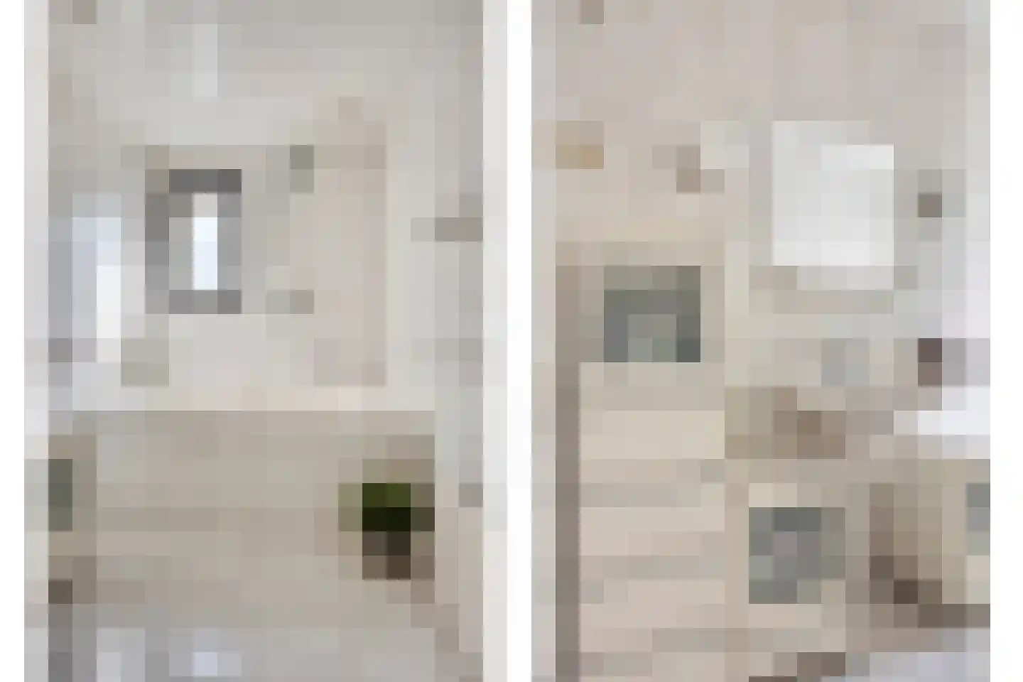 Zwaluwstraat 34 Rotterdam thumbnail 11