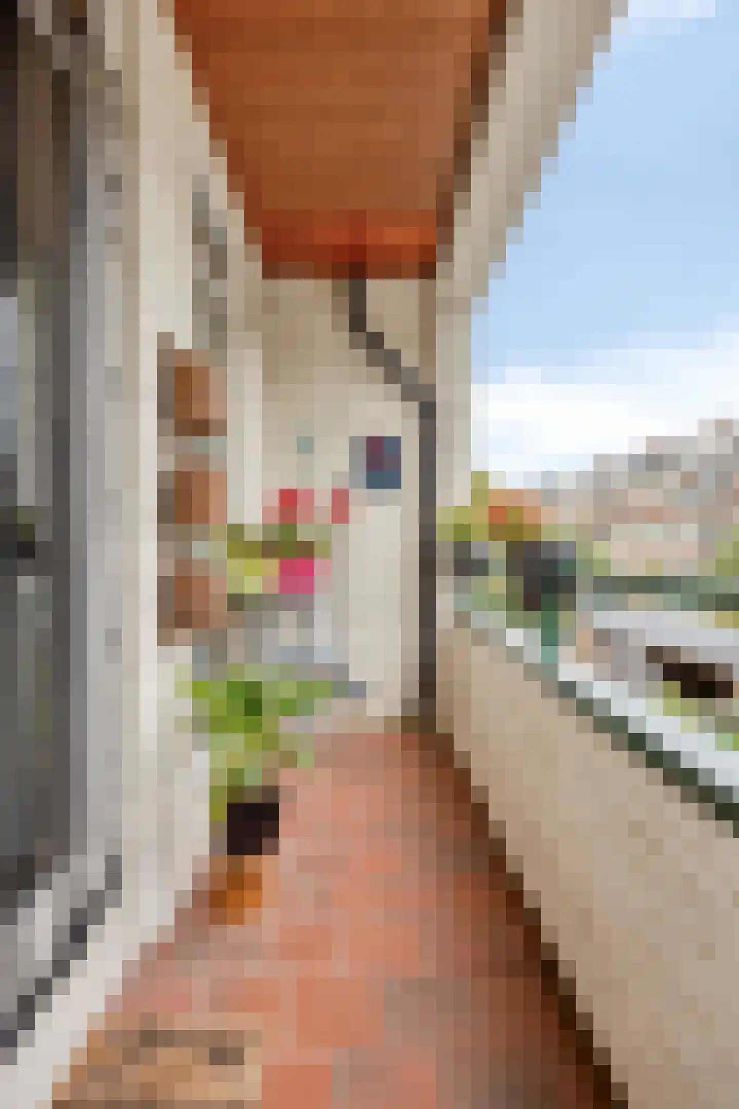 Zwaluwstraat 34 Rotterdam thumbnail 21