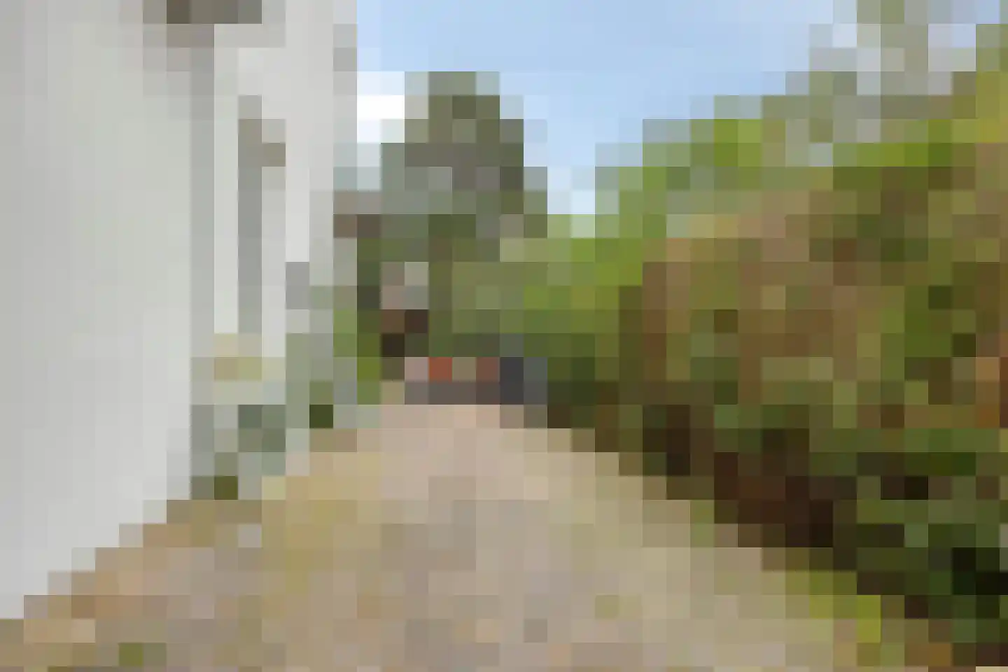 Zwaluwstraat 34 Rotterdam thumbnail 28