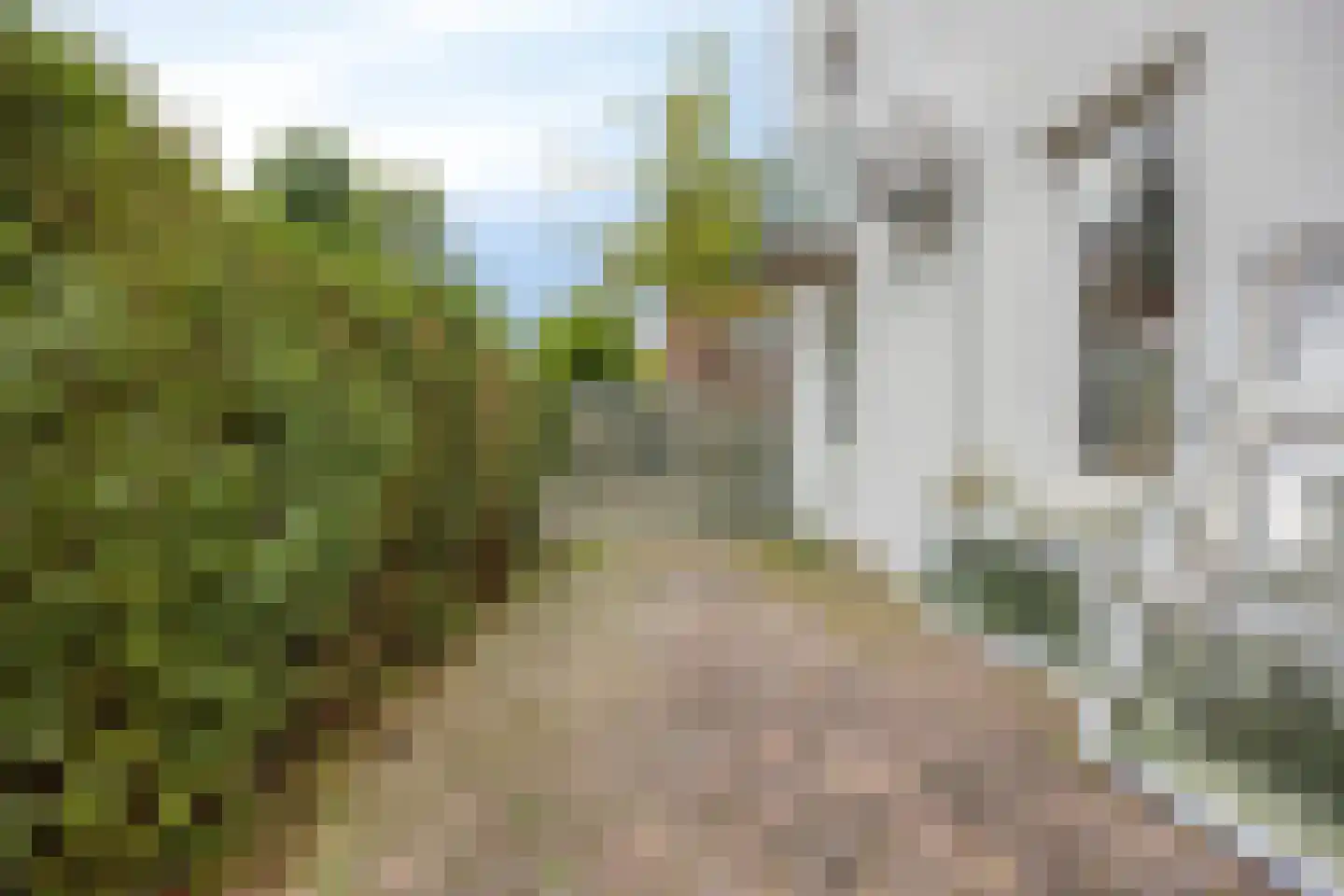 Zwaluwstraat 34 Rotterdam thumbnail 7