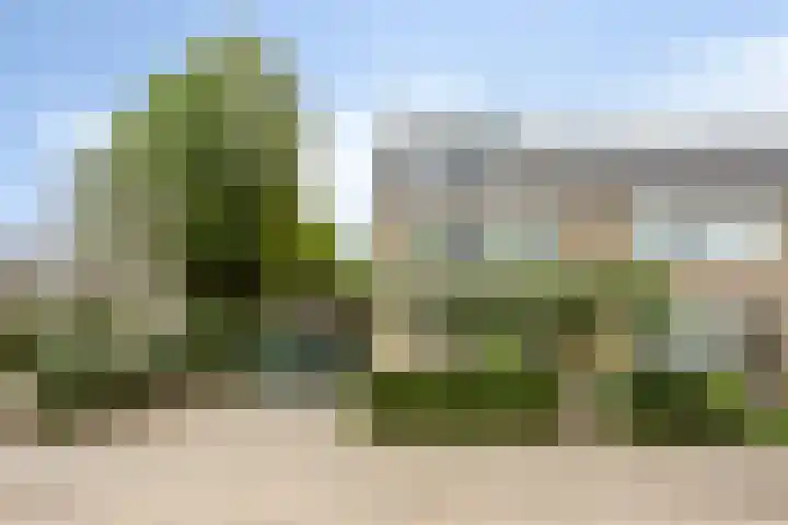 Zwaluwstraat 35 Sliedrecht