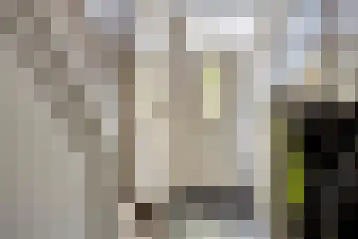 Zwaluwstraat 35 Sliedrecht thumbnail 10