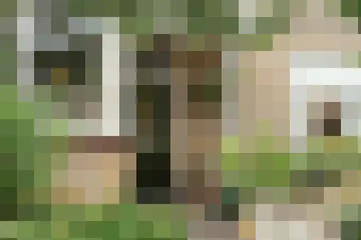 Zwaluwstraat 35 Sliedrecht thumbnail 9