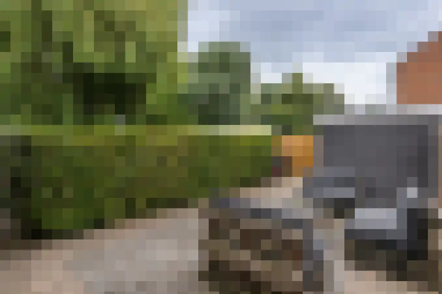 Zwaluwstraat 35 Sommelsdijk thumbnail 27