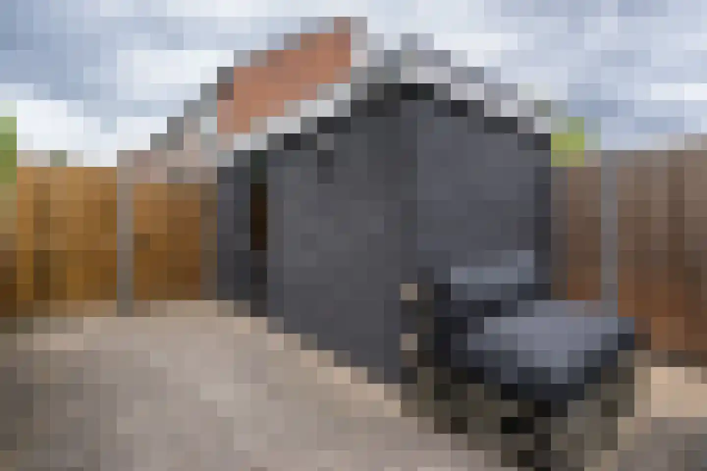 Zwaluwstraat 35 Sommelsdijk thumbnail 28