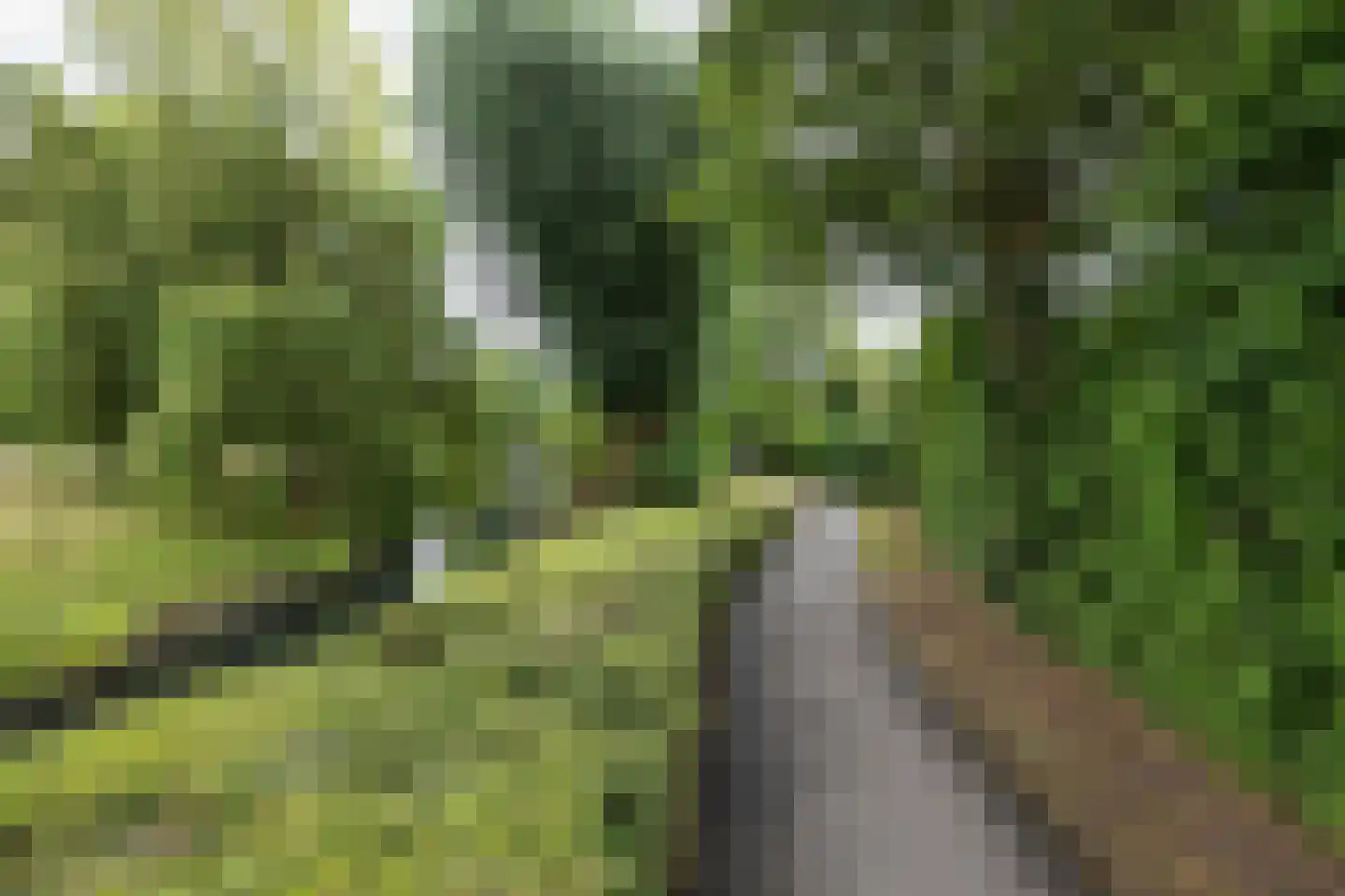 Zwaluwstraat 35 Sommelsdijk thumbnail 30