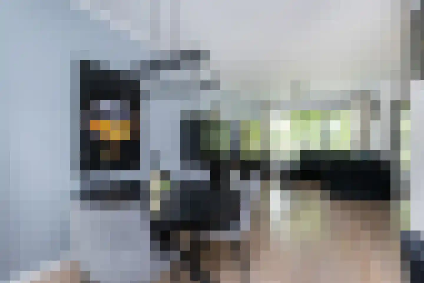 Zwaluwstraat 35 Sommelsdijk thumbnail 6