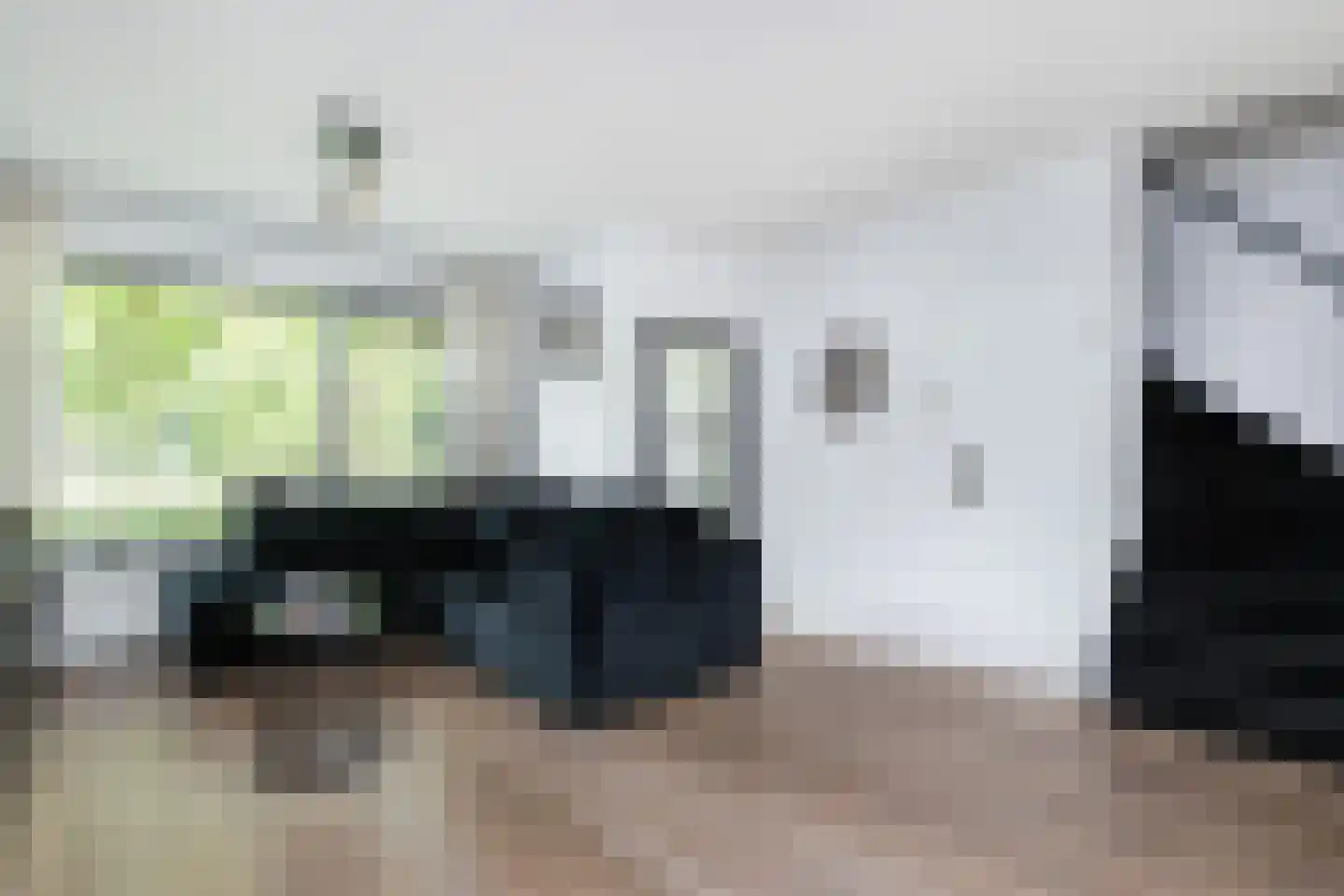 Zwaluwstraat 35 Sommelsdijk thumbnail 7