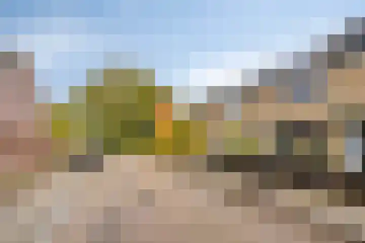 Zwaluwstraat 36 Goor thumbnail 38