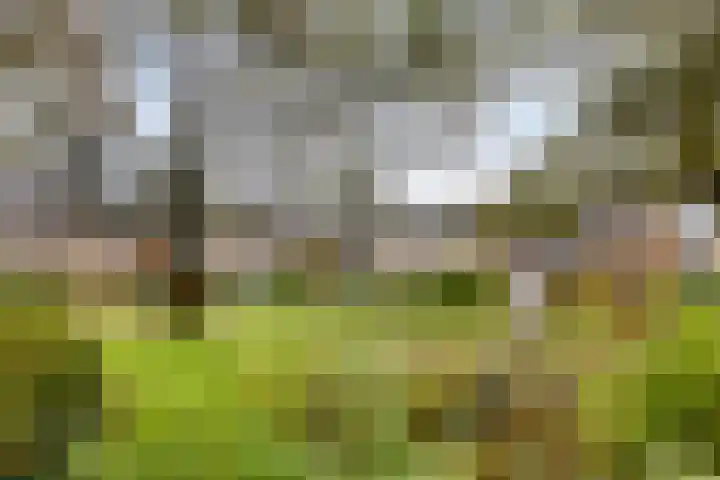 Zwaluwstraat 36 Goor thumbnail 39