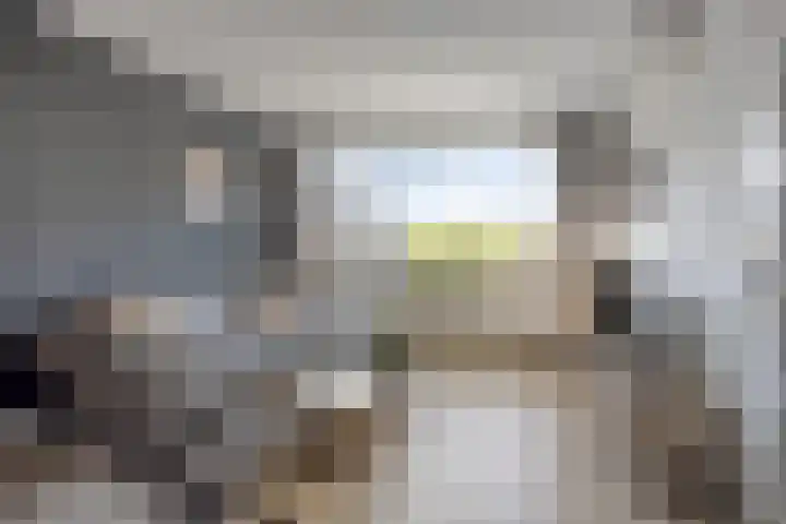Zwaluwstraat 36 Goor thumbnail 4