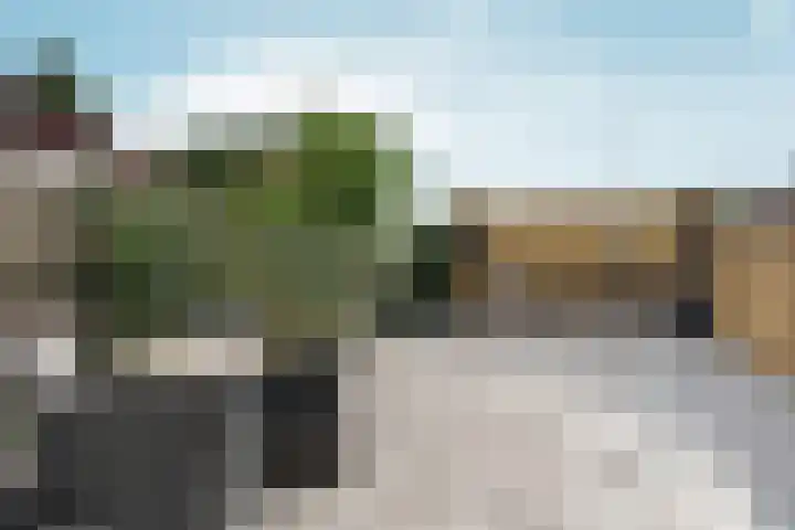 Zwaluwstraat 38 Gennep thumbnail 4