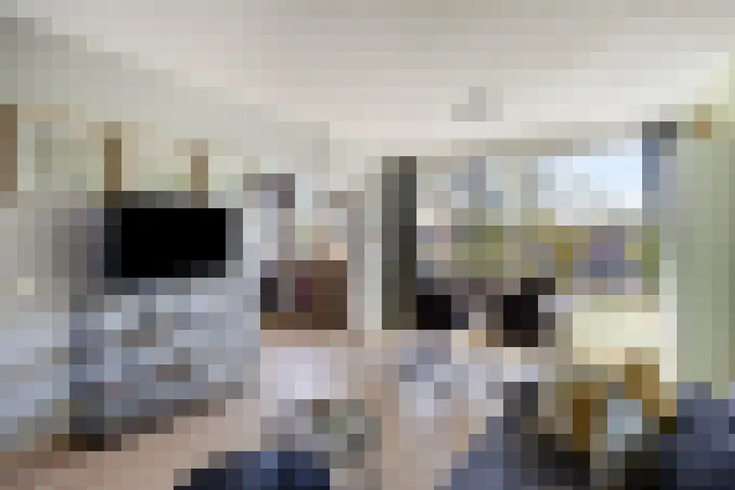 Zwaluwstraat 38 Wormerveer thumbnail 4