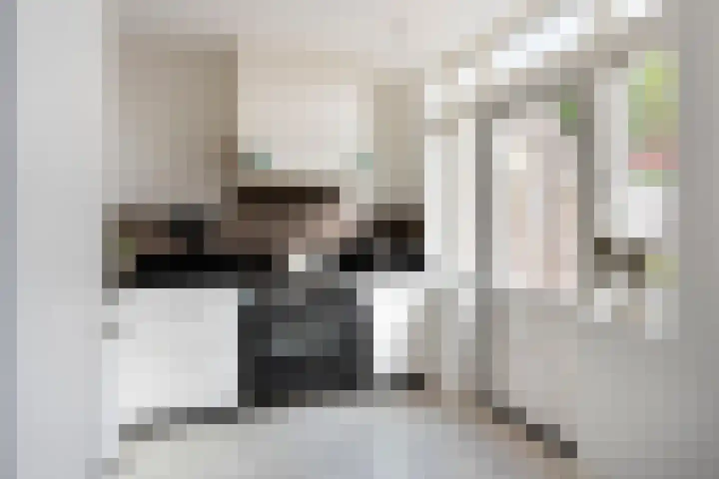 Zwaluwstraat 4 Tilburg thumbnail 11