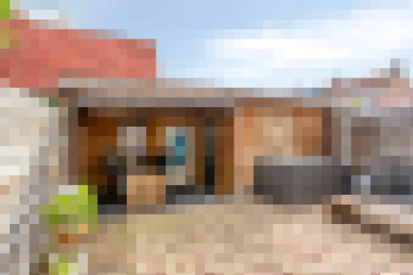 Zwaluwstraat 4 Tilburg thumbnail 27