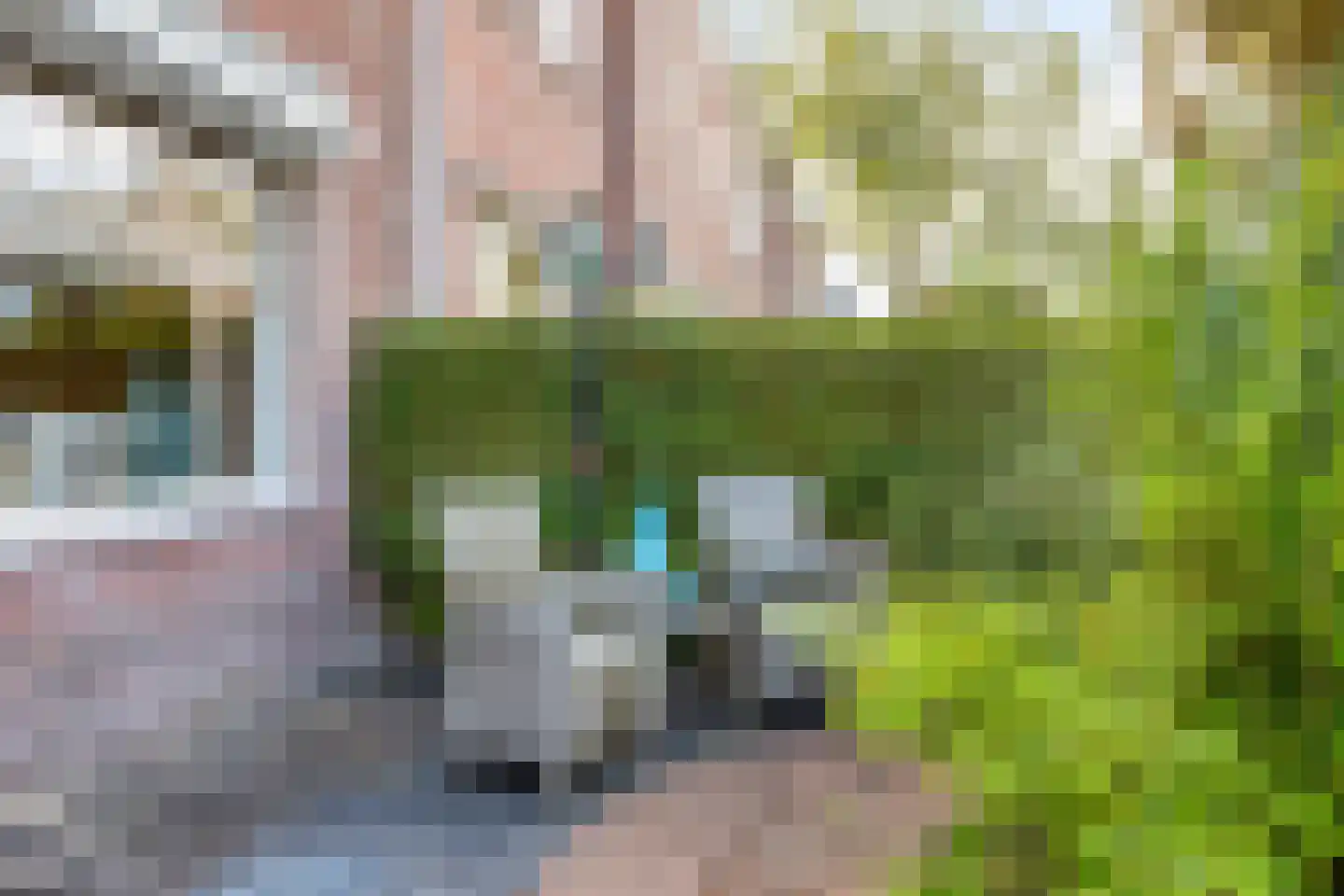 Zwaluwstraat 4 Tilburg thumbnail 29