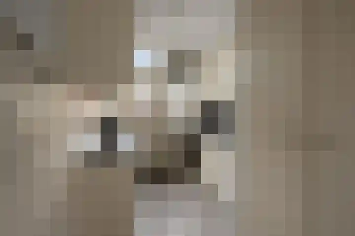 Zwaluwstraat 4 Wormerveer thumbnail 11