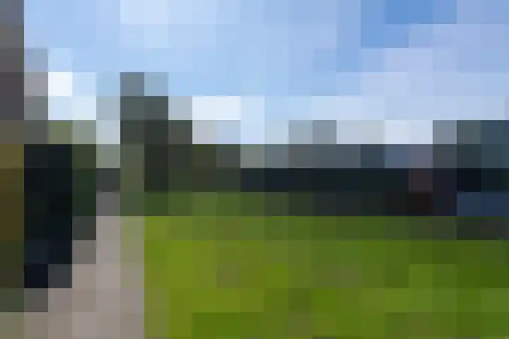 Zwaluwstraat 4 Wormerveer thumbnail 32