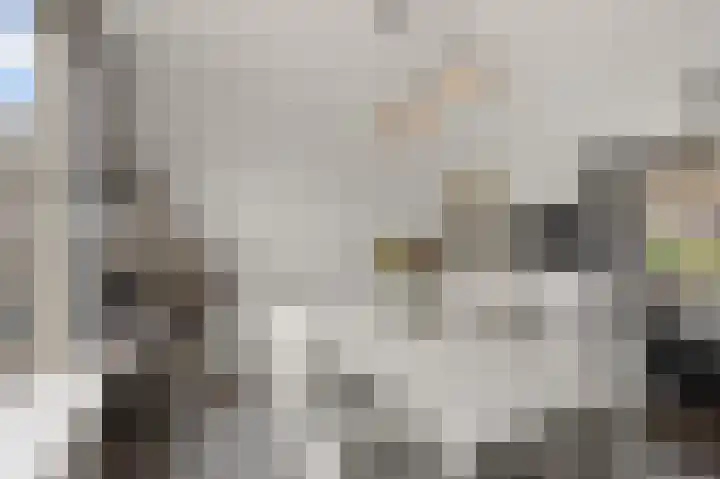 Zwaluwstraat 4 Wormerveer thumbnail 8