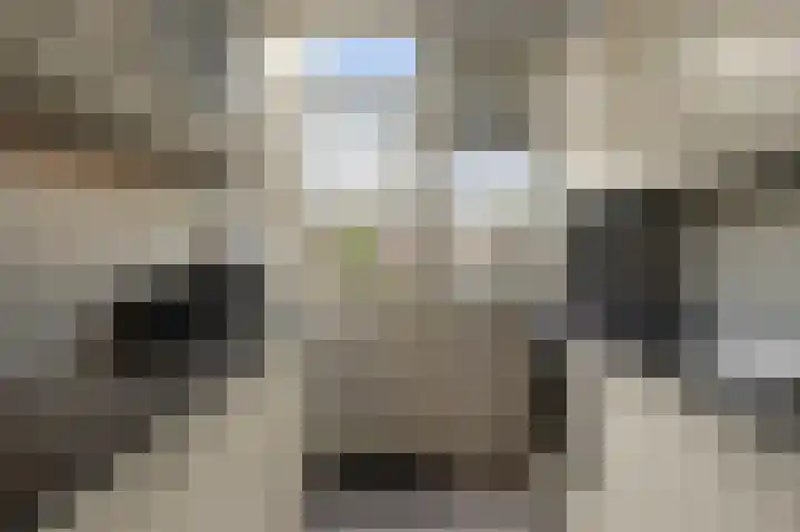 Zwaluwstraat 4 Wormerveer thumbnail 9
