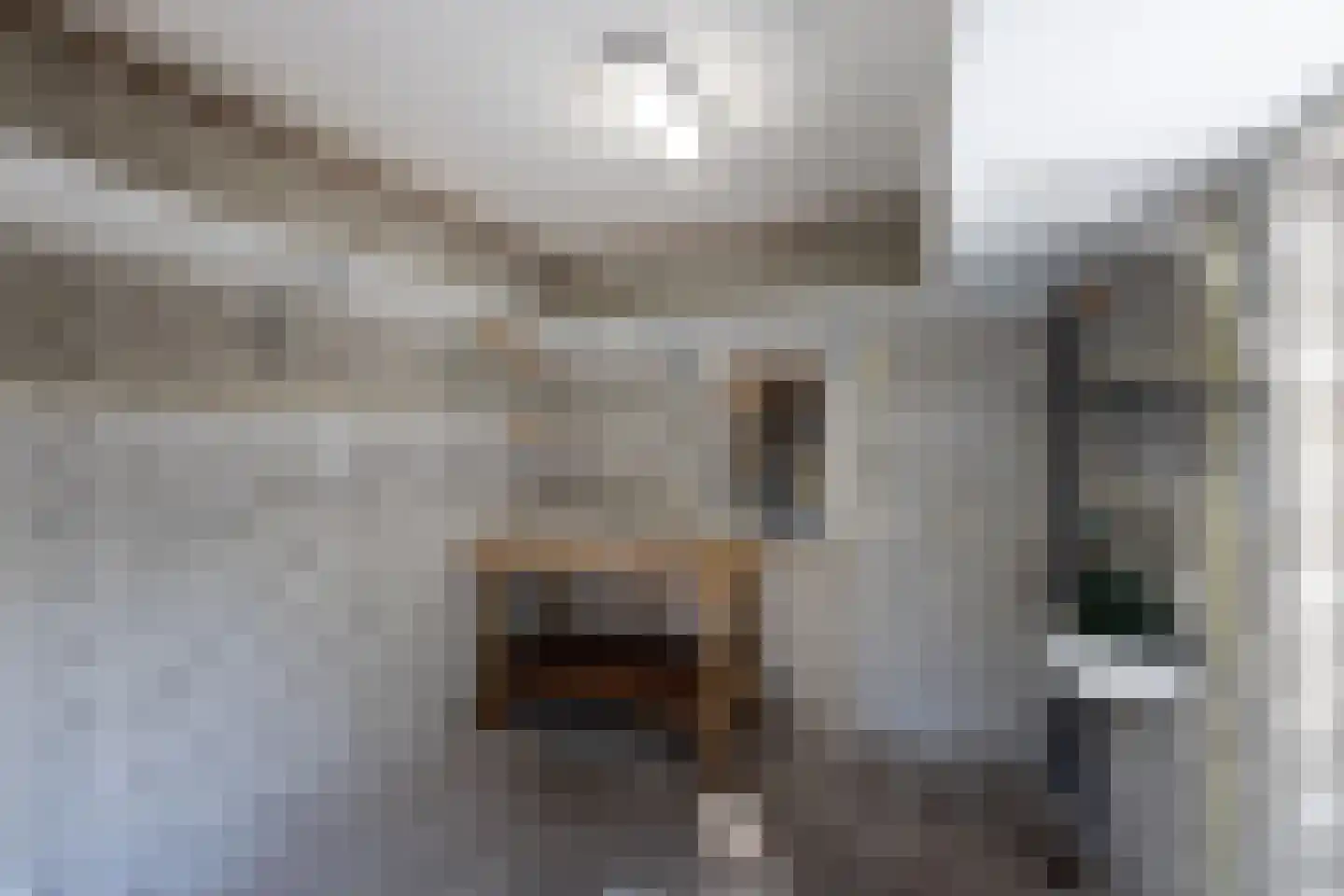 Zwaluwstraat 40 Goor thumbnail 31