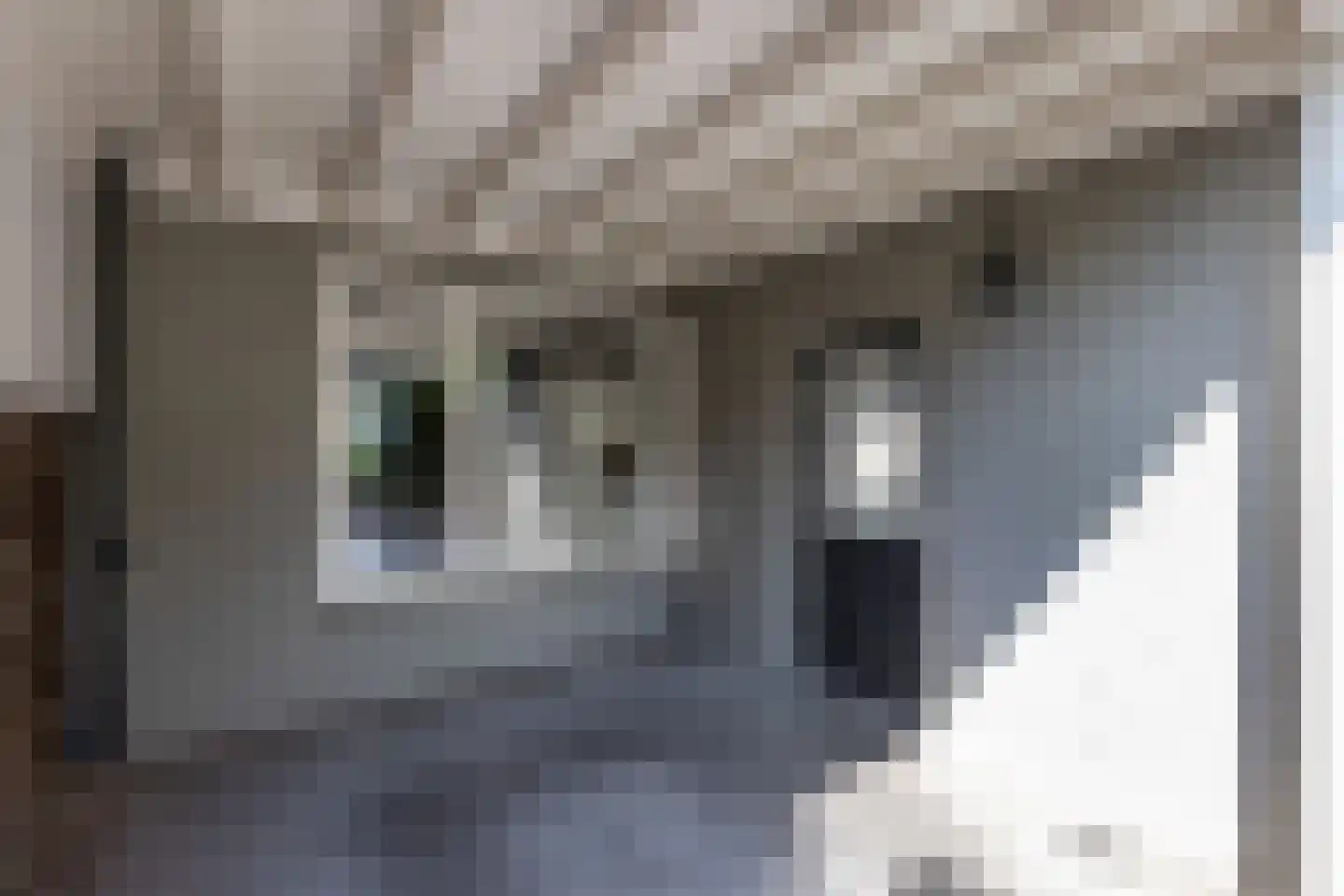 Zwaluwstraat 40 Goor thumbnail 33