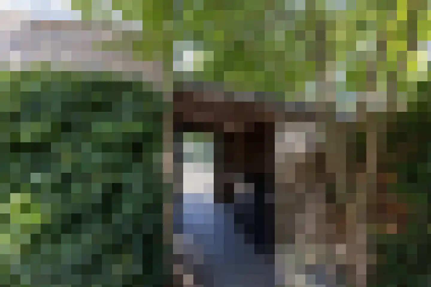 Zwaluwstraat 40 Goor thumbnail 35