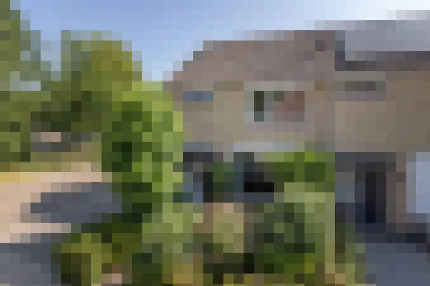 Zwaluwstraat 40 Goor thumbnail 44