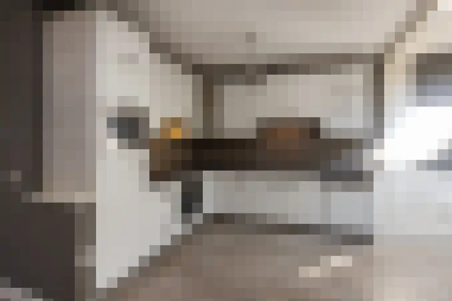 Zwaluwstraat 40 Goor thumbnail 6