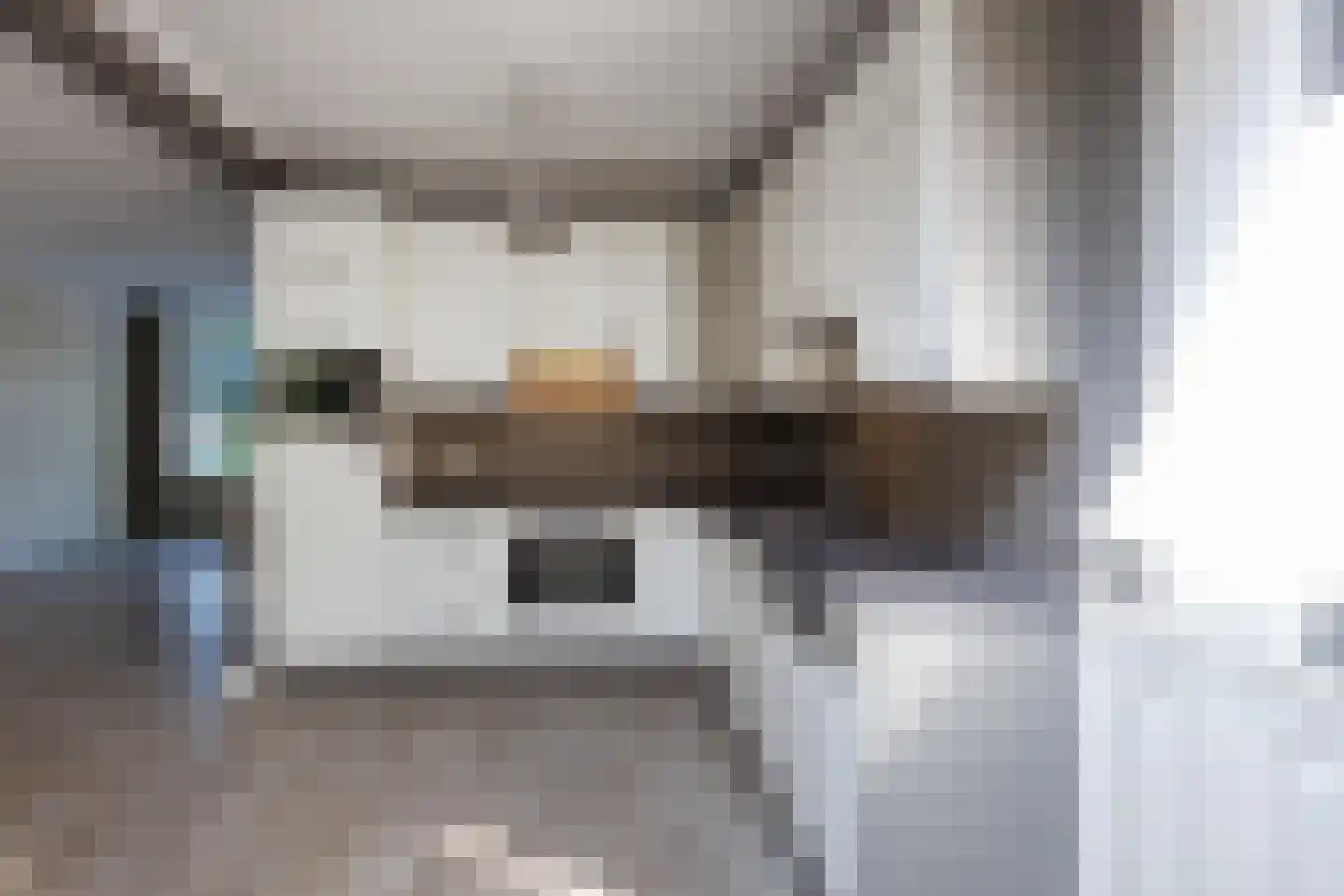 Zwaluwstraat 40 Goor thumbnail 7