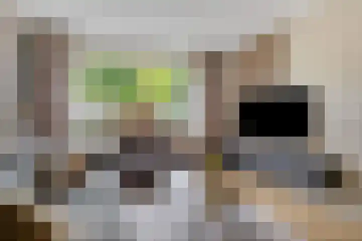 Zwaluwstraat 41 Goor thumbnail 9