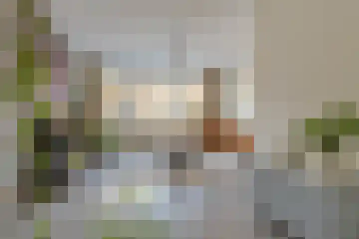 Zwaluwstraat 5 B Rotterdam thumbnail 7