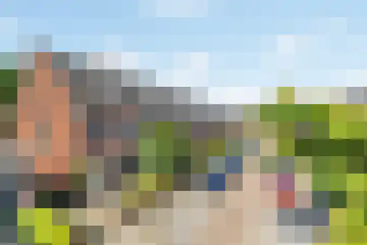 Zwaluwstraat 5 Breda thumbnail 6