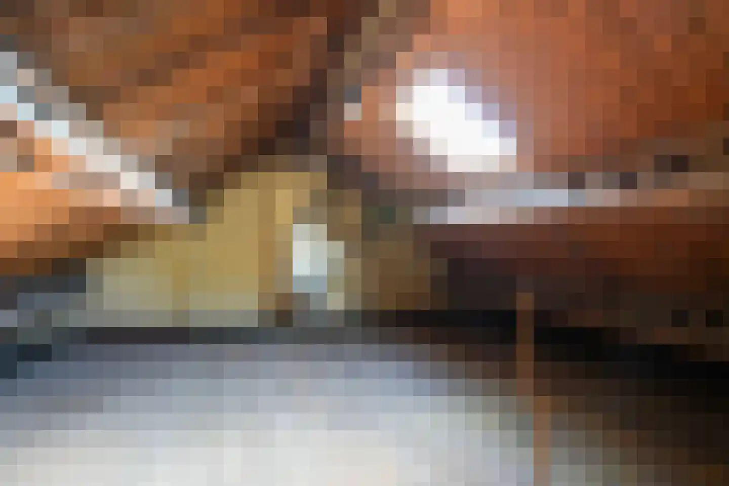Zwaluwstraat 5 Geleen thumbnail 20