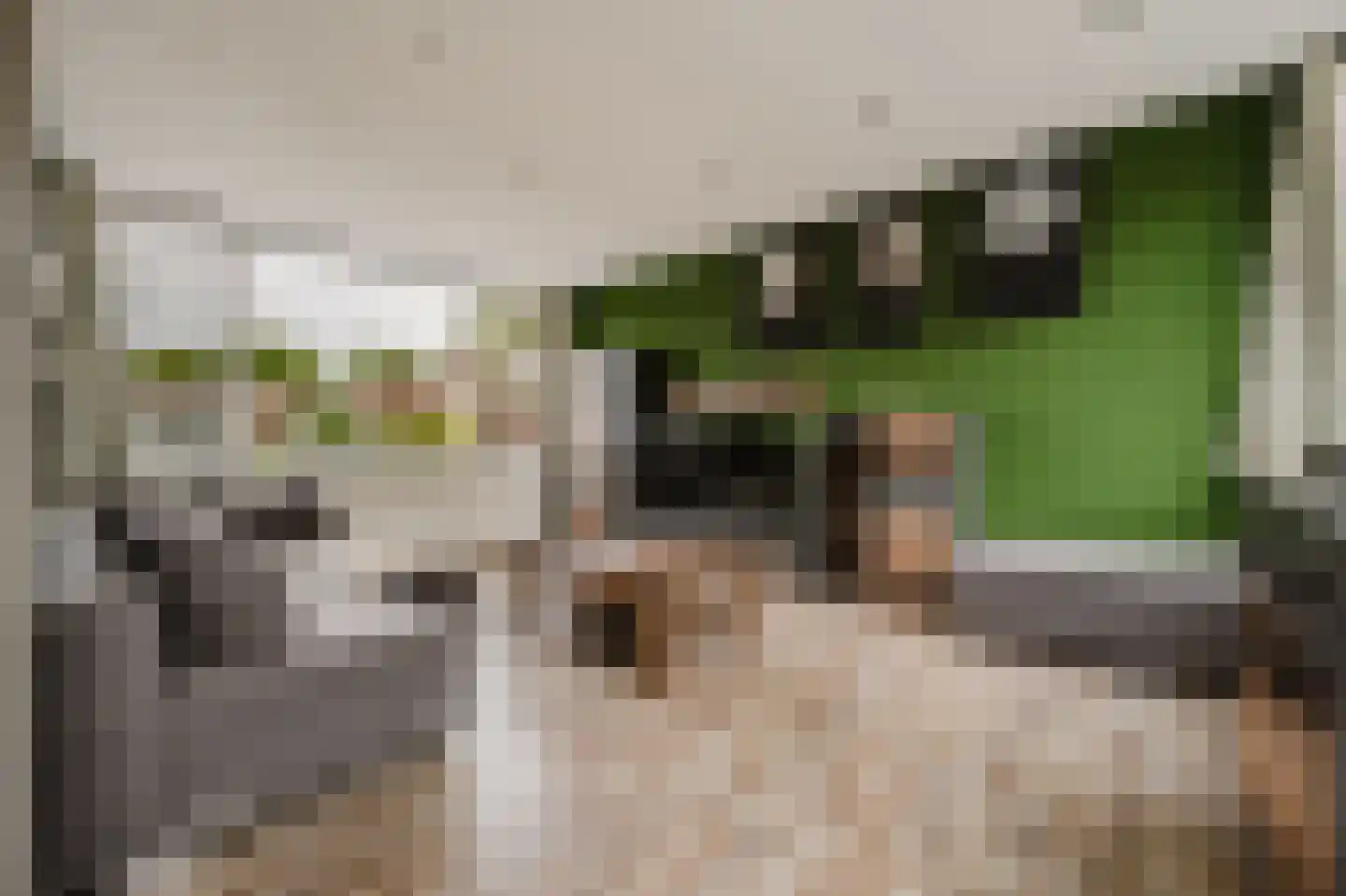 Zwaluwstraat 5 Spijkenisse thumbnail 13