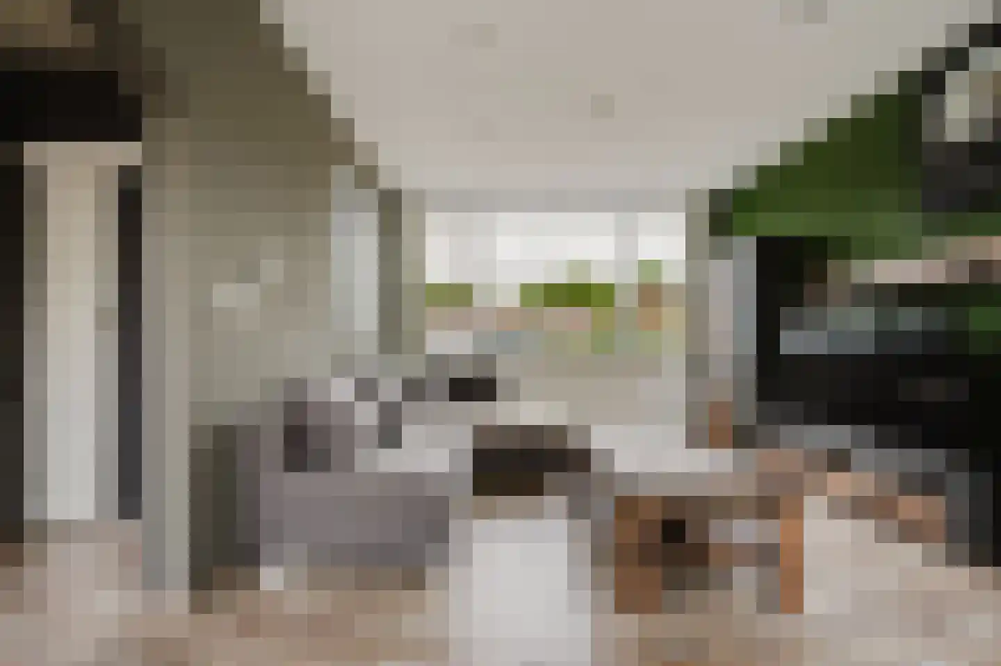 Zwaluwstraat 5 Spijkenisse thumbnail 14