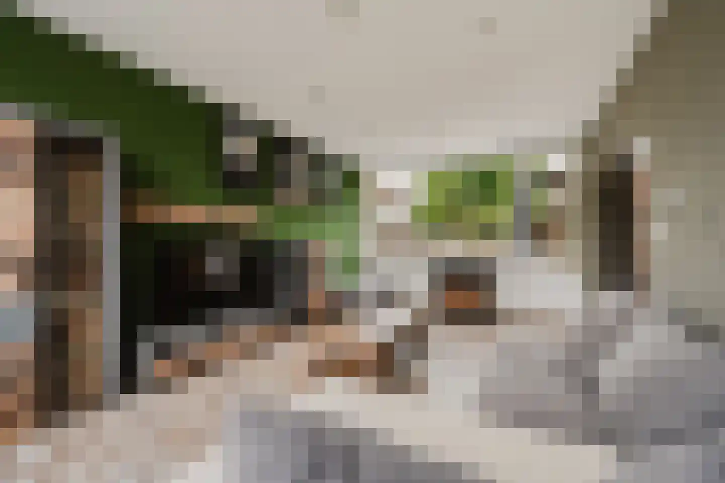 Zwaluwstraat 5 Spijkenisse thumbnail 15