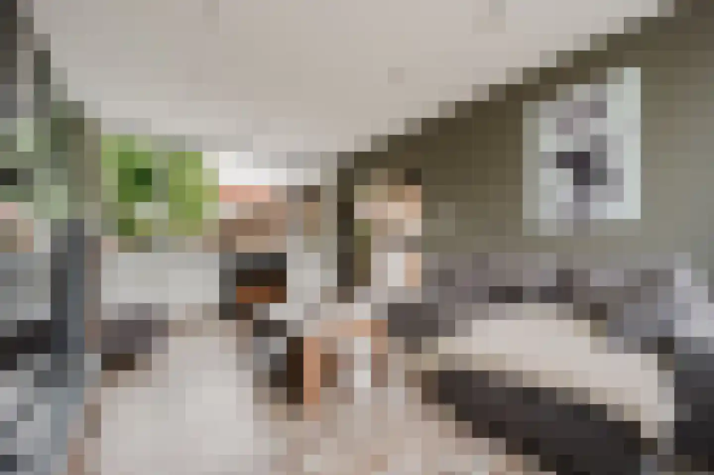 Zwaluwstraat 5 Spijkenisse thumbnail 16