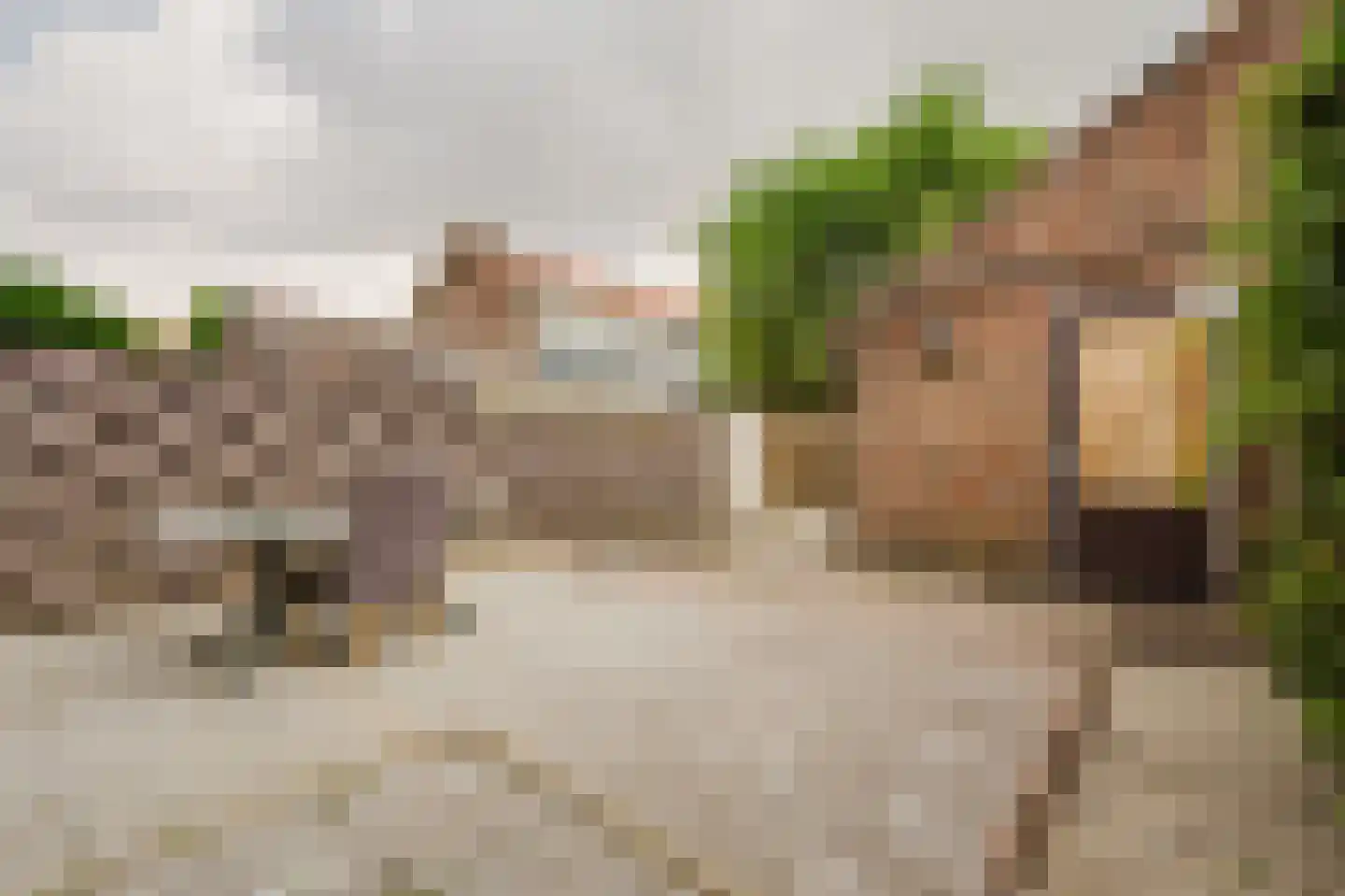 Zwaluwstraat 5 Spijkenisse thumbnail 17