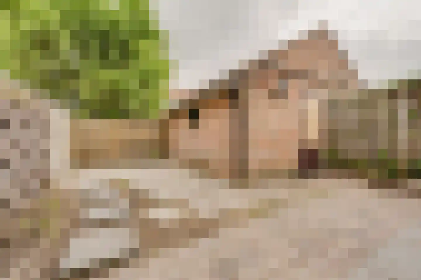 Zwaluwstraat 5 Spijkenisse thumbnail 18