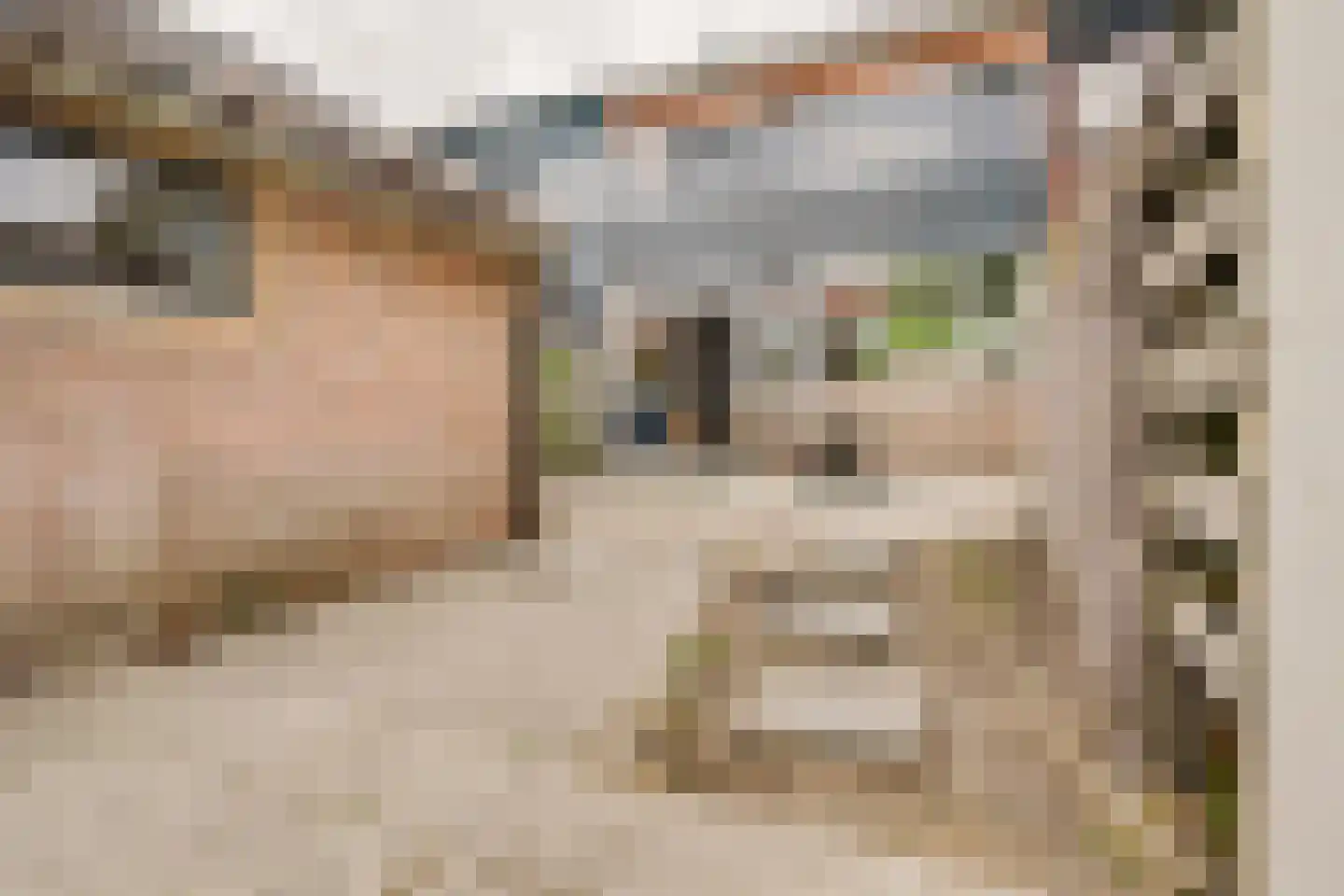 Zwaluwstraat 5 Spijkenisse thumbnail 20
