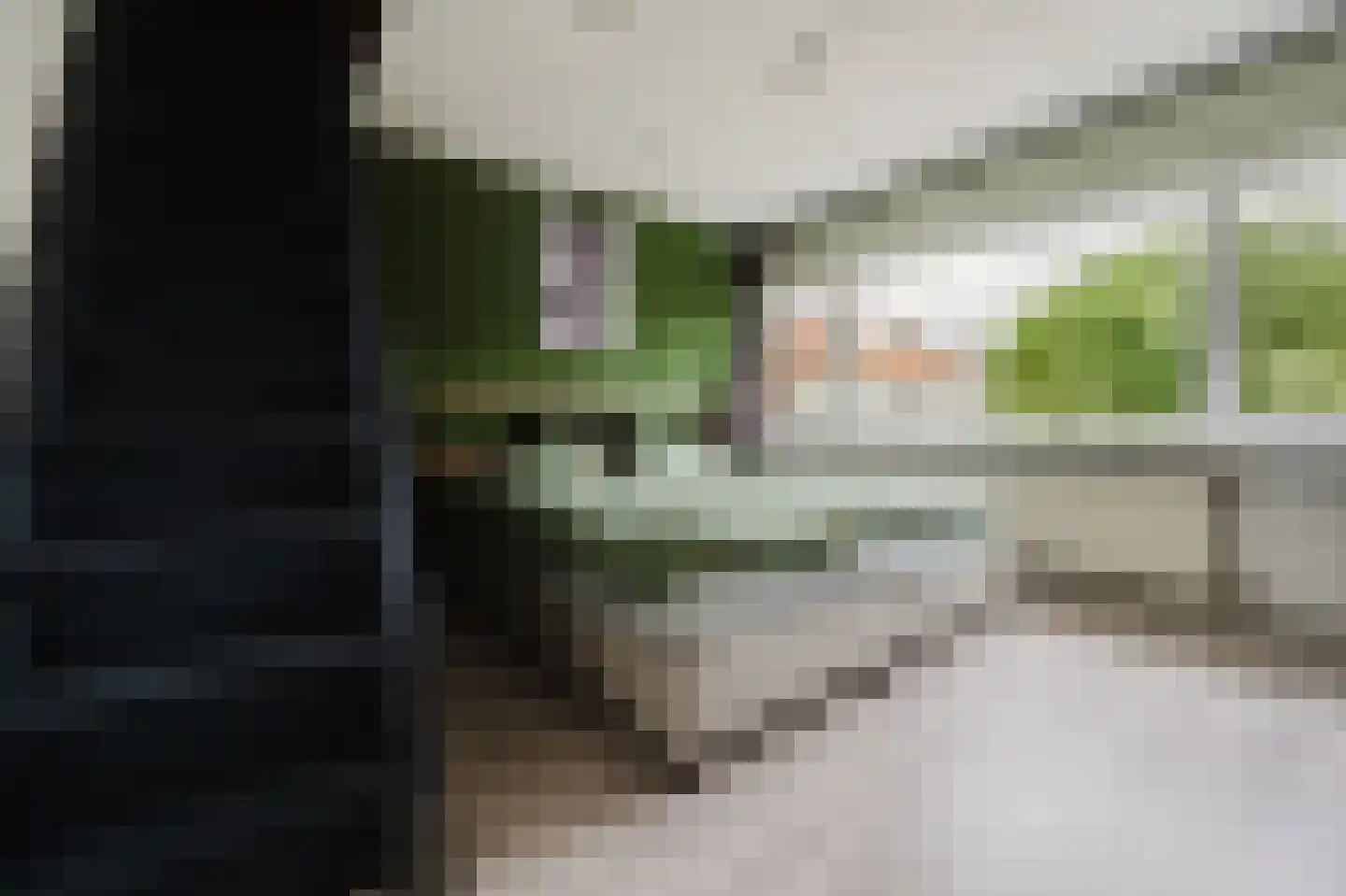 Zwaluwstraat 5 Spijkenisse thumbnail 24