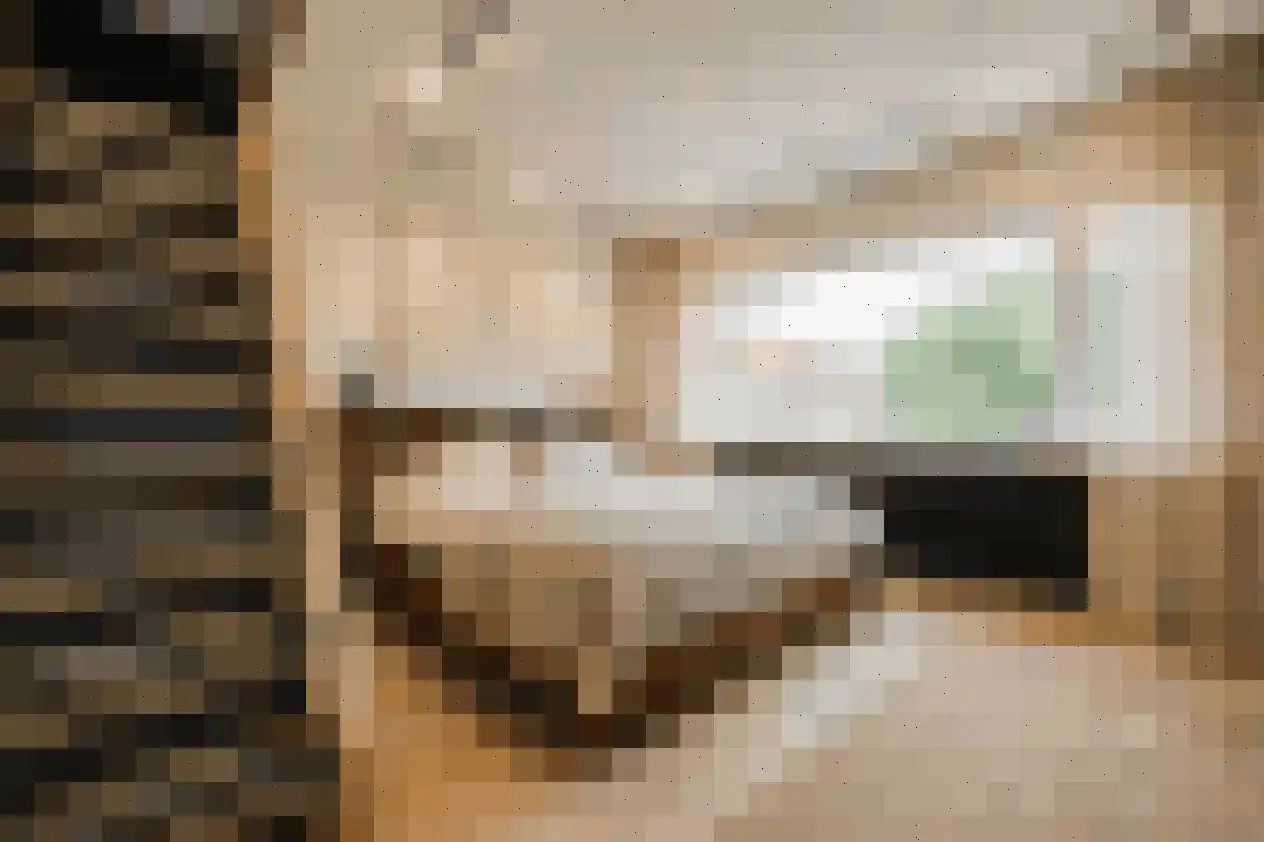 Zwaluwstraat 5 Spijkenisse thumbnail 25